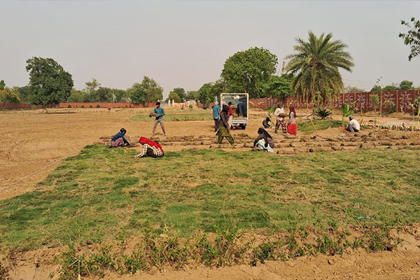 Scenic farmhouse in Raota, Delhi, surrounded by lush greenery and spacious land_brandestate.in